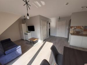 Televízia a/alebo spoločenská miestnosť v ubytovaní Szczawnica Apartament C6