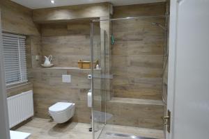 een badkamer met een toilet en een glazen douche bij Wondergem in Oostkapelle