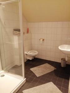 
a bathroom with a toilet, sink, and shower at De Kapschuur in Stadskanaal
