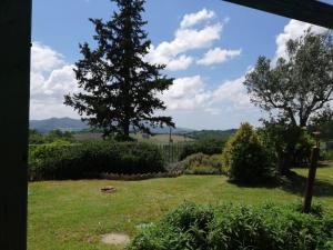 vistas a un patio con un árbol en Relais Poggio al Vento, en Pomarance