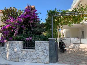 Zahrada ubytování Apartments Dumančić