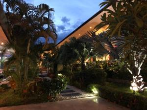 Zahrada ubytování Tropical Palm