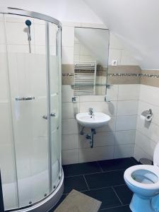 ein Bad mit einer Dusche, einem WC und einem Waschbecken in der Unterkunft Thermal Apartman in Makó
