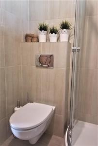a bathroom with a toilet and a shower with potted plants at Apartament DobraNocka in Poronin