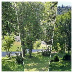 two images of a tree in the middle of a field at Holiday Home Neokrnjena Narava in Sevnica
