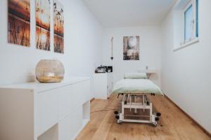 Lázně a/nebo wellness v ubytování Hotel Silberfux