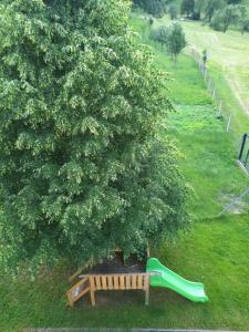 een park met een boom en een groene glijbaan bij Holiday Home Neokrnjena Narava in Sevnica