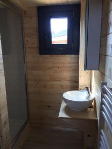 een badkamer met een wastafel en een glazen douche bij CHALET LE HERISSON in Saint-Laurent-du-Jura