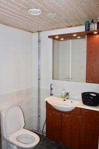 a bathroom with a toilet and a sink at Kipinä Lomat - Majatalo Kipinä in Sotkamo +25 photos
