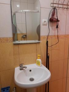 w łazience znajduje się umywalka z lustrem i butelka mydła. w obiekcie Комфортный w mieście Karpaty