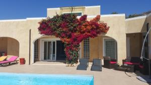 ein Haus mit einem Pool und Blumen nebenher in der Unterkunft Cyrnea B&B - Adults only in Porto-Vecchio