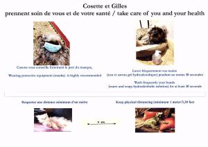 a page of a website with a dog wearing a mask at Hotel Victor Hugo Nice in Nice