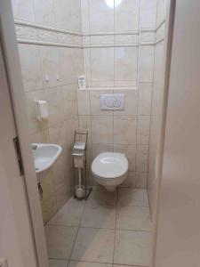La petite salle de bains est pourvue de toilettes et d'un lavabo. dans l'établissement Ossiach DIREKTER PRIVATER SEEZUGANG MIT STEG UND BOOT, à Ossiach
