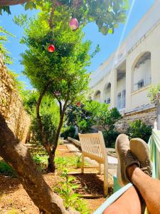 Ein Garten an der Unterkunft Follow the Sun Boutique Hostel - Pool, Breakfast & Sea Views