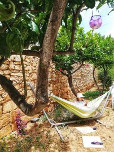Ein Garten an der Unterkunft Follow the Sun Boutique Hostel - Pool, Breakfast & Sea Views