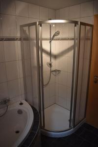 a bathroom with a shower and a toilet and a sink at Appartement am Berg in Arzl im Pitztal