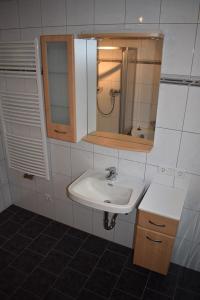 a bathroom with a sink and a mirror at Appartement am Berg in Arzl im Pitztal