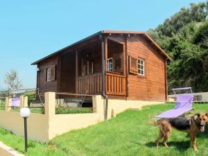 einem Hund, der vor einem Haus steht in der Unterkunft Holiday Home Le Terrazze del Geco Bungalow A - SLR300 by Interhome in San Lorenzo al Mare