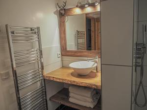 uma casa de banho com um lavatório e um espelho em Chateau Doggestein em Peisey-Nancroix