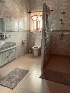 a bathroom with a toilet and a sink at Erica's Self Catering Apartment in Mahe