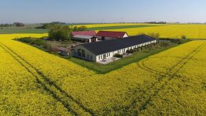 una casa en medio de un campo de flores amarillas en Örums Nygård Gårdshotell, en Löderup