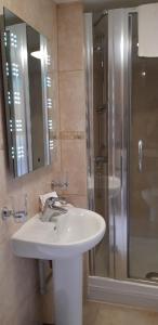 a bathroom with a sink and a shower at Trelawne Garden Annexe in Falmouth