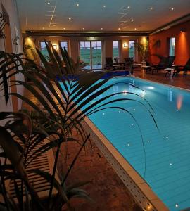 a large swimming pool in a hotel with a plant at Örums Nygård Gårdshotell in Löderup