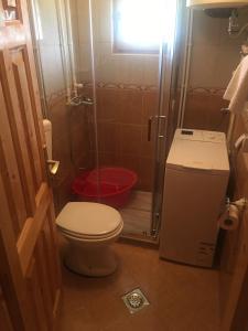 a small bathroom with a toilet and a shower at Durmitorska kuća in Žabljak