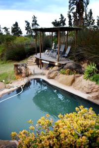 Swimming pool sa o malapit sa Addo Dung Beetle Guest Farm