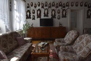 a living room with two couches and a tv at Lovecký Apartmán na náměstí ve Frenštátě pod Radhoštěm in Frenštát pod Radhoštěm