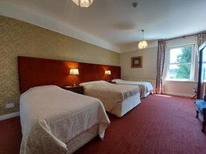 a hotel room with two beds and two lamps at Belvedere Lodge in Cork