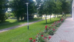 Zahrada ubytování Ośrodek Wczasowy HELIOS