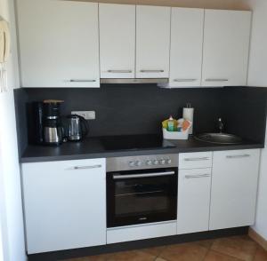 Kuchyň nebo kuchyňský kout v ubytování Appartement Roland