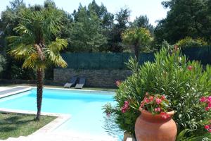 una piscina con una palmera y un jarrón con flores en Rêve d'instants en Faucon