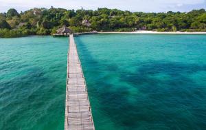 a wooden pier in the middle of a body of water at Fundu Lagoon in Pemba