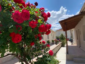 a bunch of red roses hanging from a building at Petite Luxury Urban House in Tríkala