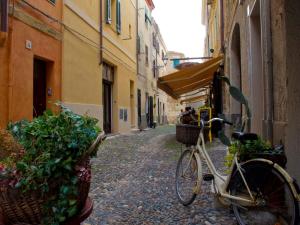 una bicicletta parcheggiata in un vicolo con piante nei cesti di B&B ABACO ad Alghero