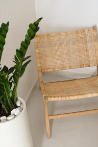 a wooden bench with a plant on top of it at Blanco Rooms Mykonos in Mýkonos City