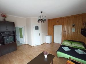Kuchnia lub aneks kuchenny w obiekcie Apartament-studio, pokoje u Lucy