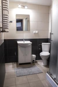 a bathroom with a toilet and a sink and a mirror at Apartamenty Mazury Kamienica Centrum in Mrągowo