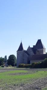 a large building with a grass field in front of it at Chateau de Chémery in Chémery