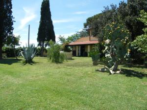 a garden with a cactus and a house at Casolare Casa Ricci in Riotorto