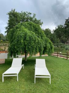 two white chairs sitting in the grass in front of a tree at Agriturismo Tenuta Villa Catena in Paglieta