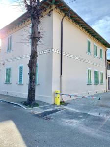 a building with a tree in front of it at Acquamarina in Forte dei Marmi