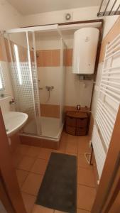 La salle de bains est pourvue d'une douche et d'un lavabo. dans l'établissement Horní Mísečky - F10 apartmán u sjezdovky, à Horní Mísečky