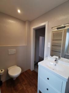 uma casa de banho com um lavatório branco e um WC. em Bed & Breakfast Goldener Stiefel em Mariazell