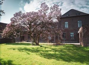 Aed väljaspool majutusasutust Sint-Jacobshoeve 2