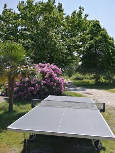 a ping pong table in a yard with trees and flowers at Gîte Les Bauvans in Presly