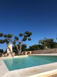 uma piscina com uma árvore ao fundo em Villa Trullo Cristi em Alberobello
