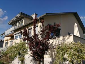 a building with trees in front of it at Appartementhaus Elfi in Barnbach